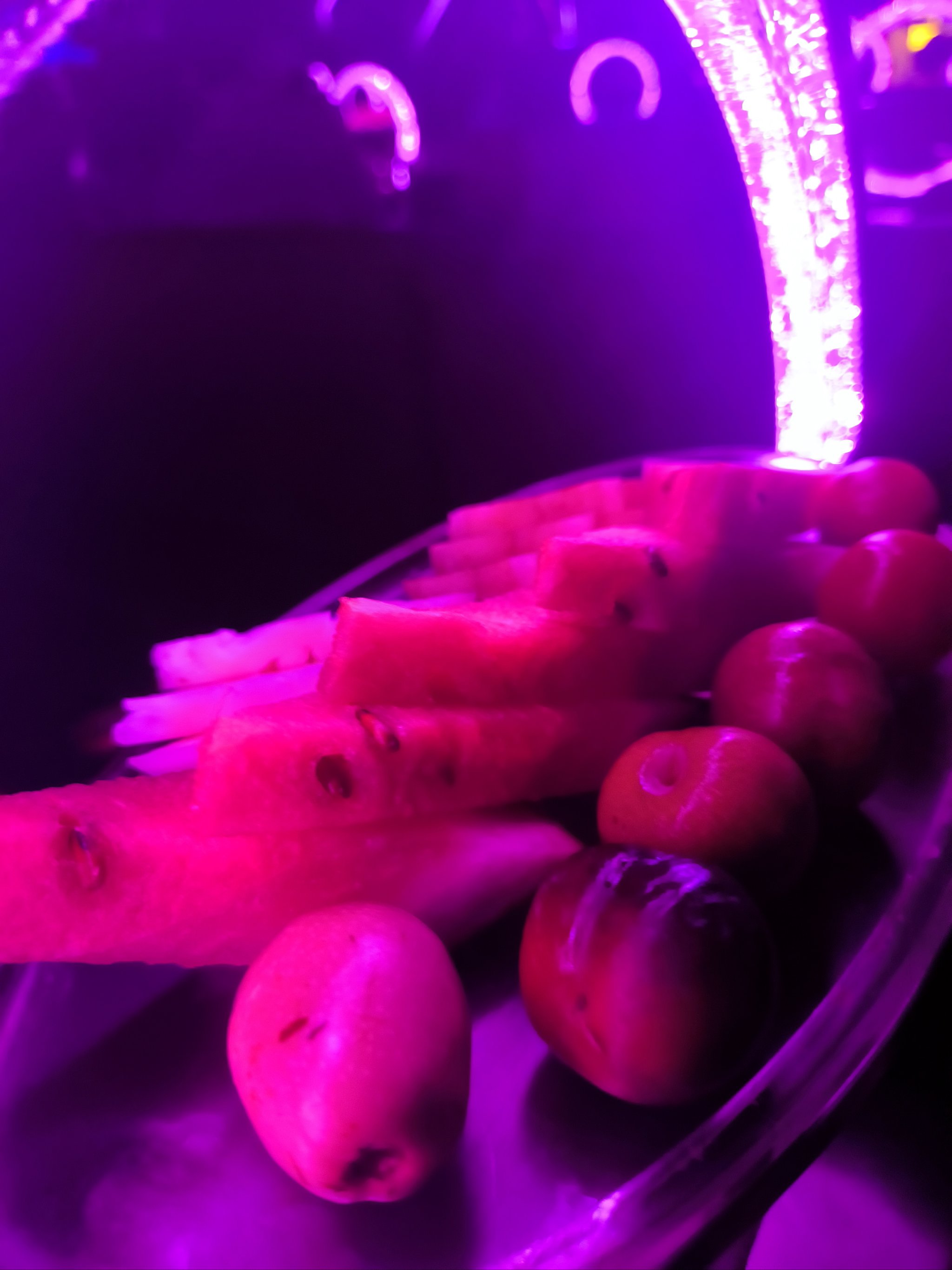 保定商务KTV和片场的区别-定州市ktv预订